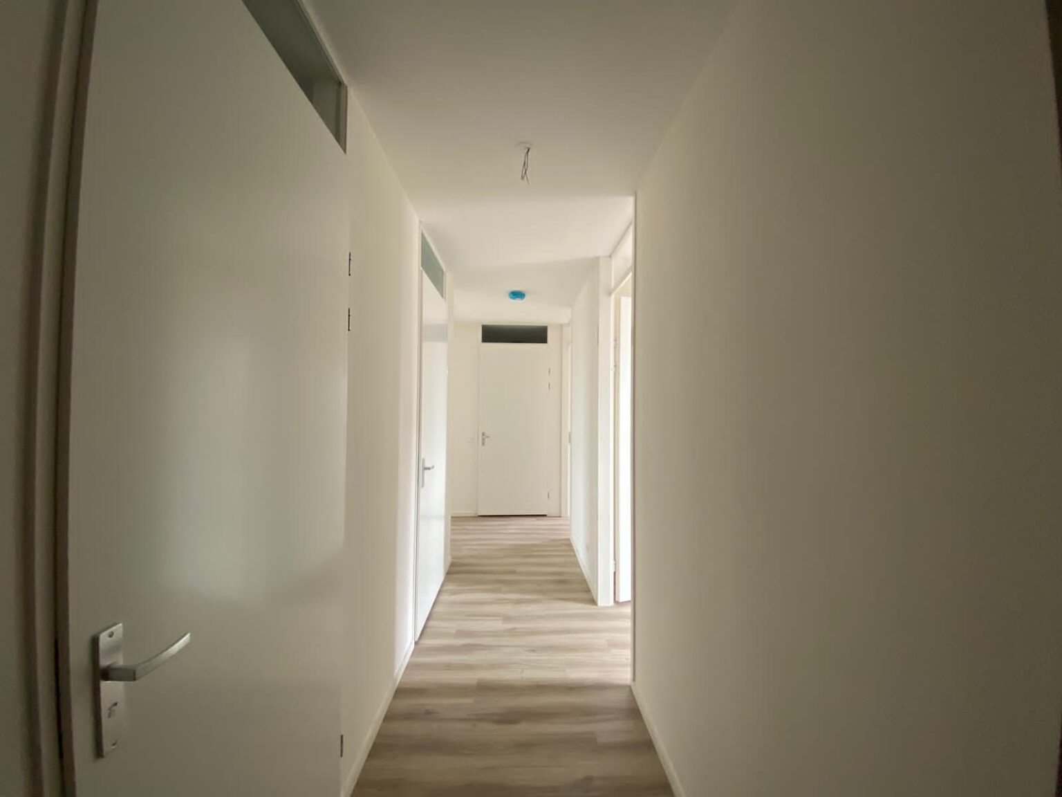 Meerring 152